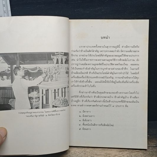 ชุมนุมฉันท์ดุษฎีสังเวยกล่อมช้างสำคัญในรัชกาลปัจจุบัน รูปที่ 8