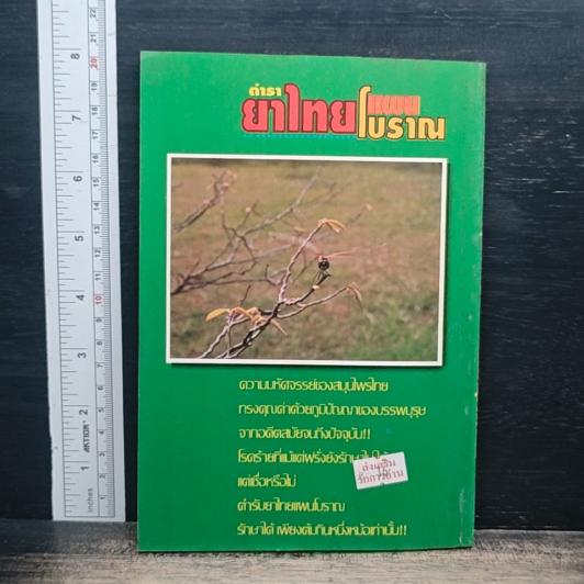 ตำรายาไทยแผนโบราณ รูปที่ 2