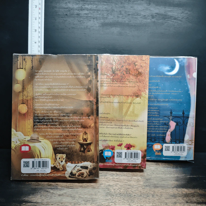 ทะเลใจในแสงจันทร์+ใต้มนตร์ตะวัน+เสียงหัวใจแห่งสายลม - Clair de Lune รูปที่ 5