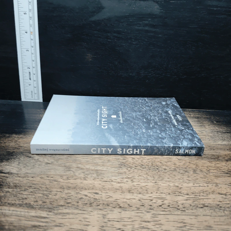 CITY SIGHT เมืองที่มองไม่เห็น - สรณรัชฎ์ กาญจนะวณิชย์ รูปที่ 3