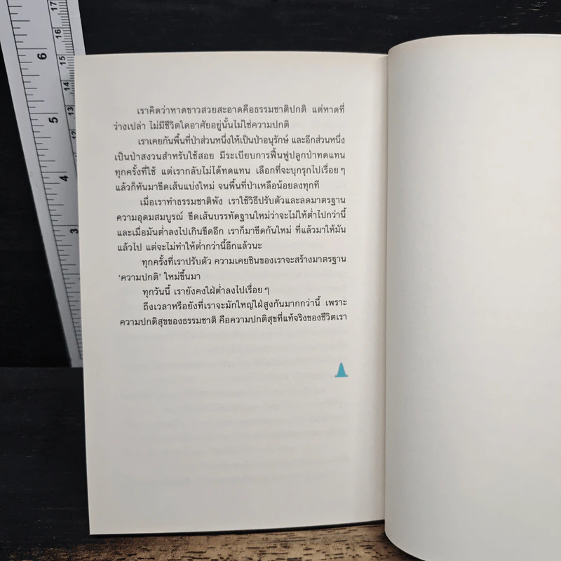 CITY SIGHT เมืองที่มองไม่เห็น - สรณรัชฎ์ กาญจนะวณิชย์ รูปที่ 8