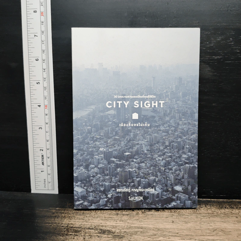 CITY SIGHT เมืองที่มองไม่เห็น - สรณรัชฎ์ กาญจนะวณิชย์ รูปที่ 1