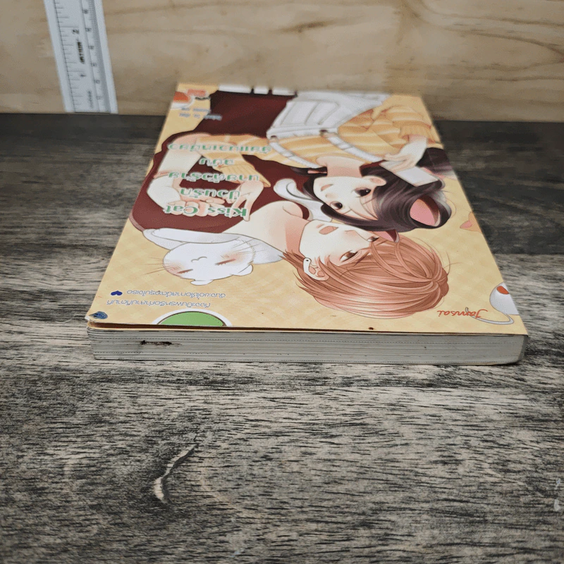 Kiss Cat ป่วนรักนายตัวร้ายฉบับยัยแมวเหมียว - Rainnie So รูปที่ 4