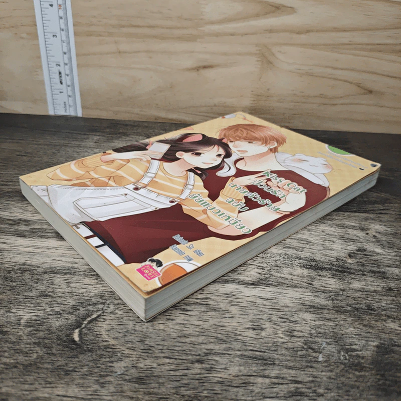 Kiss Cat ป่วนรักนายตัวร้ายฉบับยัยแมวเหมียว - Rainnie So รูปที่ 3