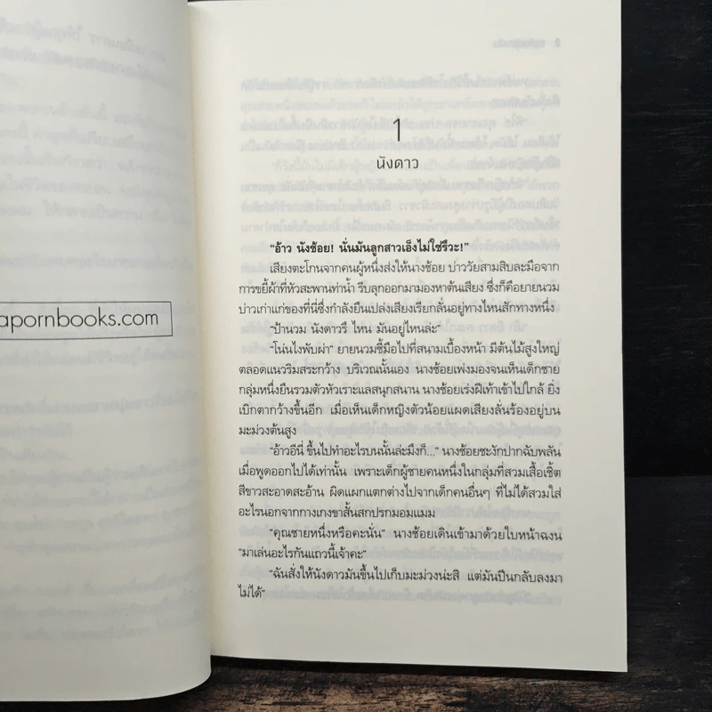 ฤารักเพียงฝัน - สุริยาทิศ รูปที่ 6