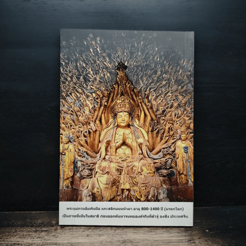 พระกษิติครรภ์โพธิสัตว์พาเที่ยวเมืองนรก ชีวิต-ความรักผูกพันบารมี พระโพธิสัตว์กวนอิม รูปที่ 2