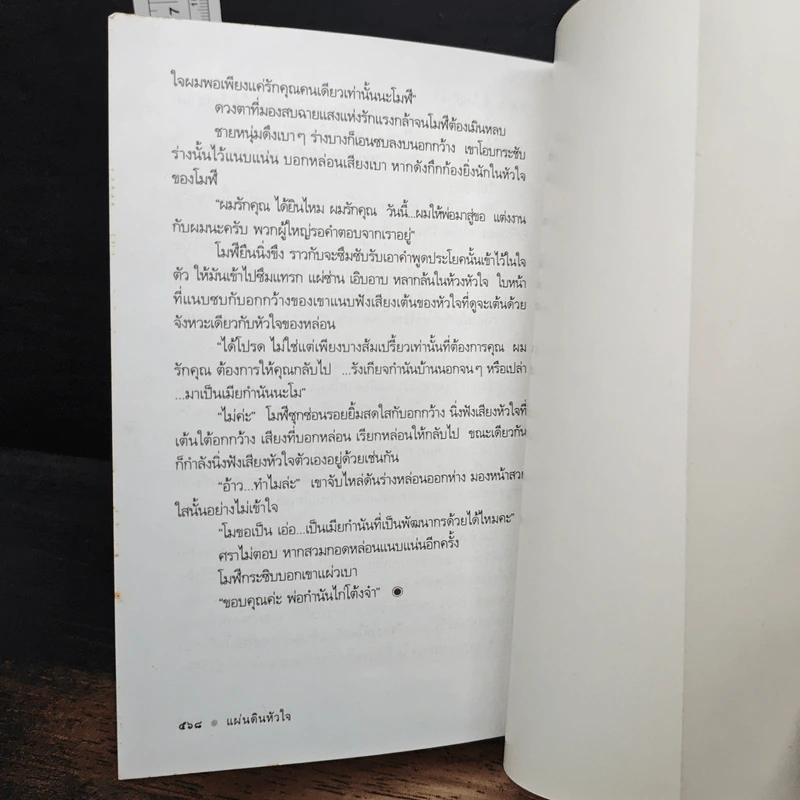 แผ่นดินหัวใจ - ดวงตะวัน รูปที่ 9