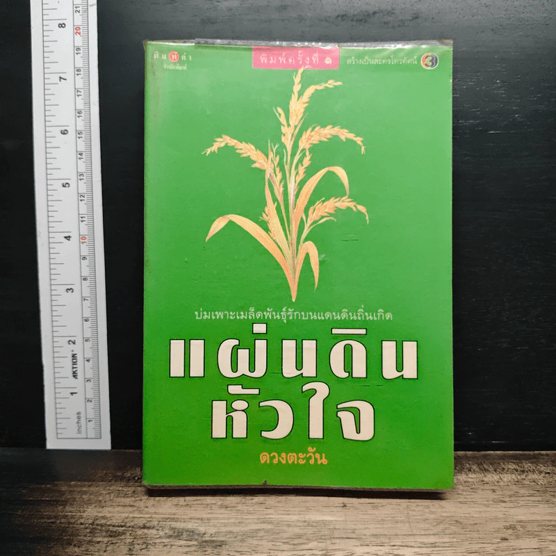 แผ่นดินหัวใจ - ดวงตะวัน รูปที่ 1