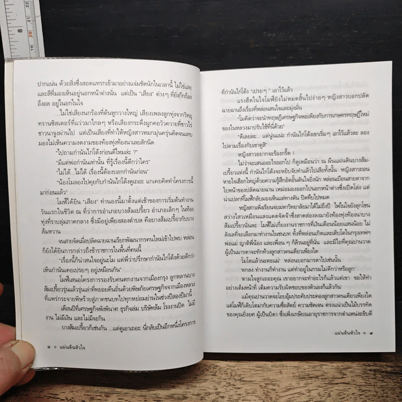 แผ่นดินหัวใจ - ดวงตะวัน รูปที่ 8