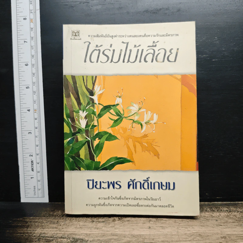 ใต้ร่มไม้เลื้อย รูปที่ 1