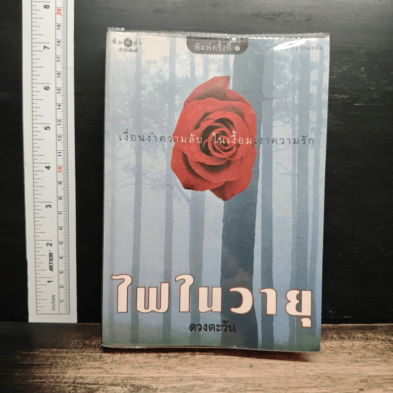 ไฟในวายุ - ดวงตะวัน รูปที่ 1