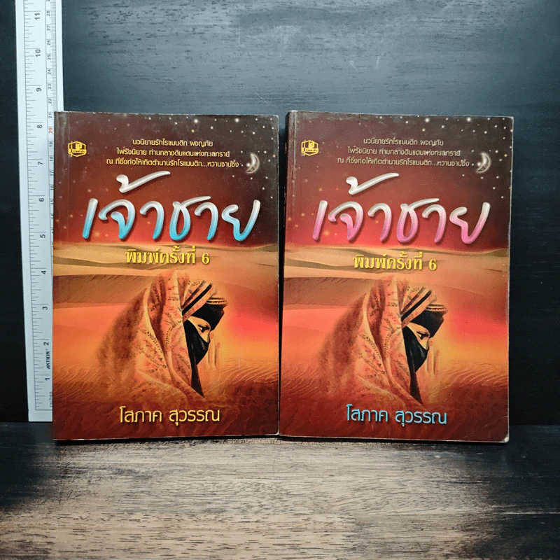 เจ้าชาย 2 เล่มจบ - โสภาค สุวรรณ รูปที่ 1