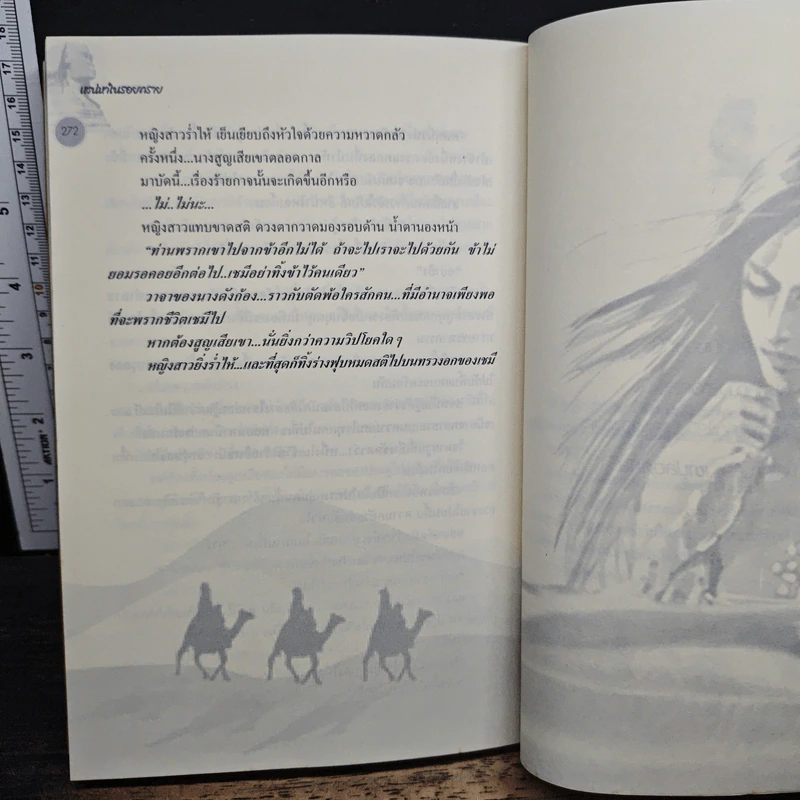 เสน่หาในรอยทราย - เงาตะวัน รูปที่ 8