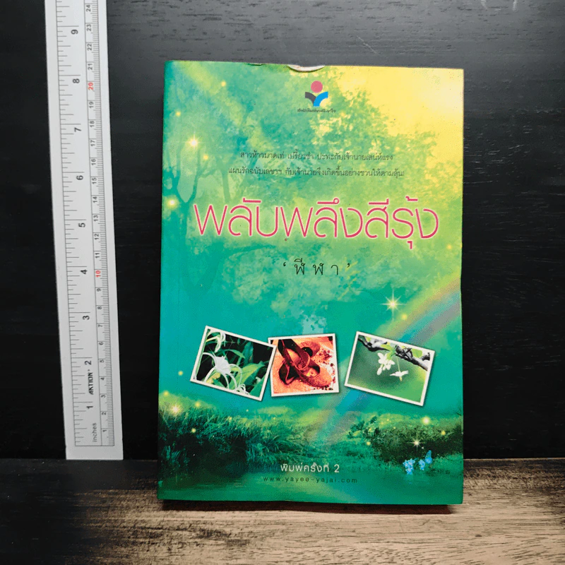 พลับพลึงสีรุ้ง - ฬีฬา รูปที่ 1