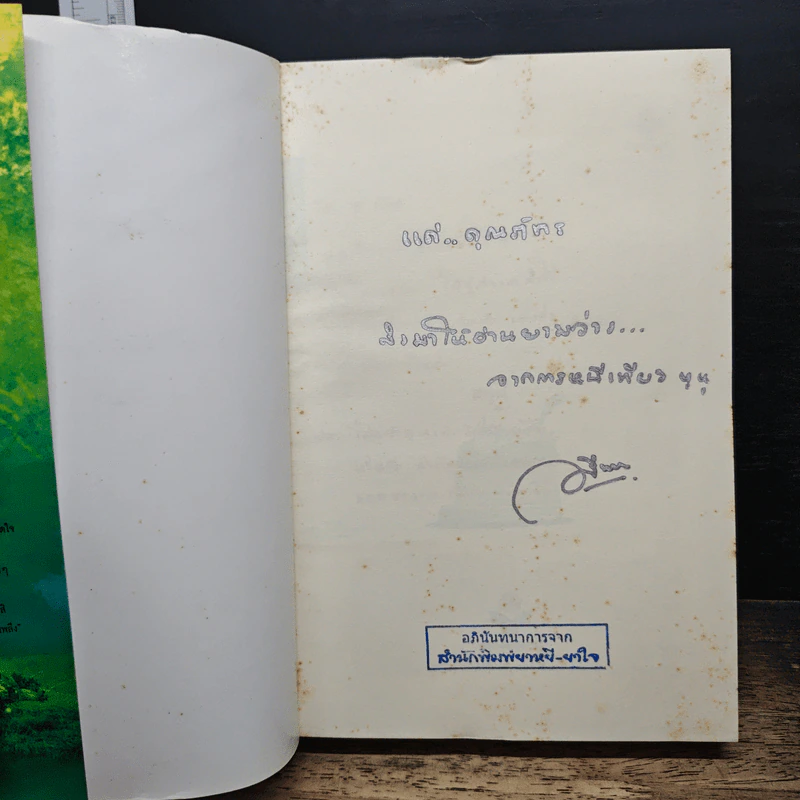 พลับพลึงสีรุ้ง - ฬีฬา รูปที่ 6