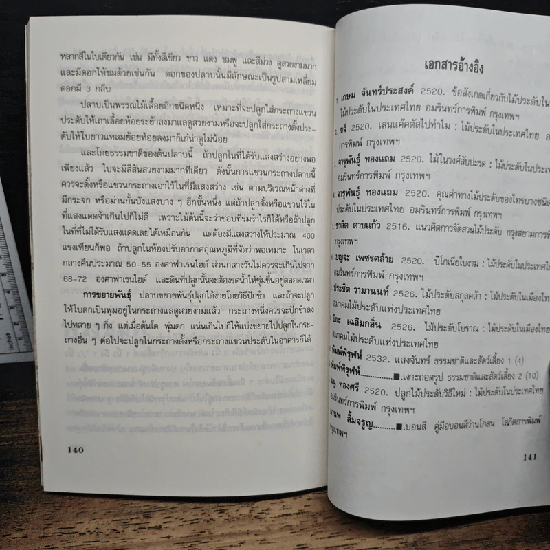ไม้ประดับในอาคาร รูปที่ 8