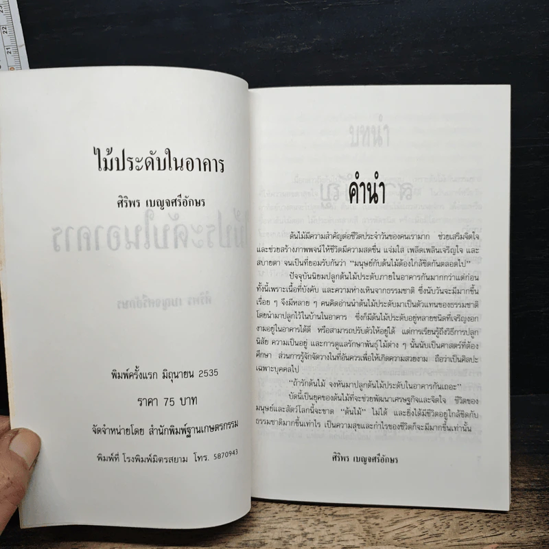 ไม้ประดับในอาคาร รูปที่ 6