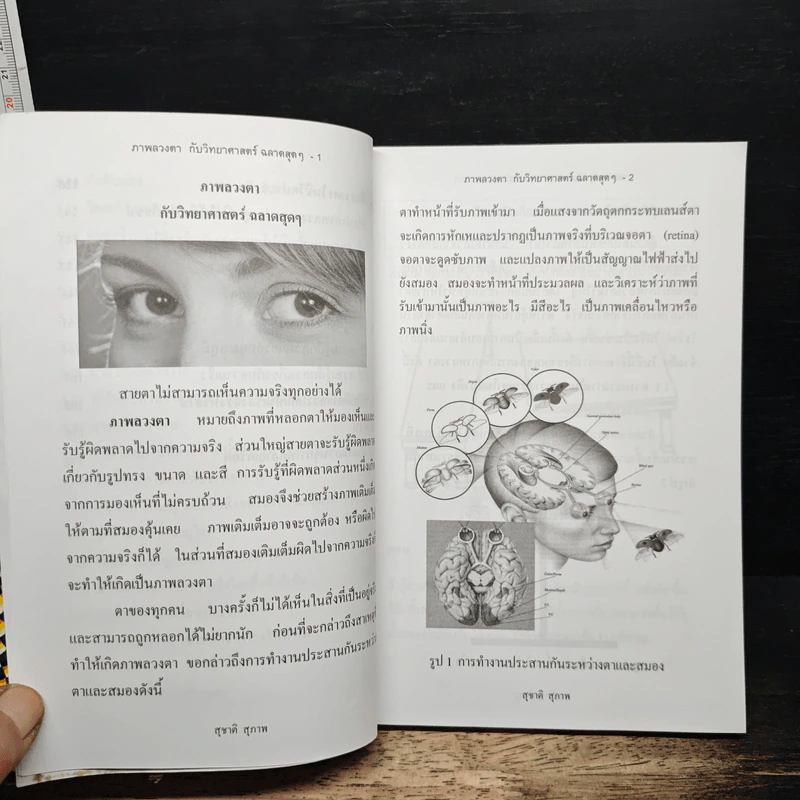 ภาพลวงตากับวิทยาศาสตร์ฉลาดสุด ๆ - สุชาติ สุภาพ รูปที่ 9