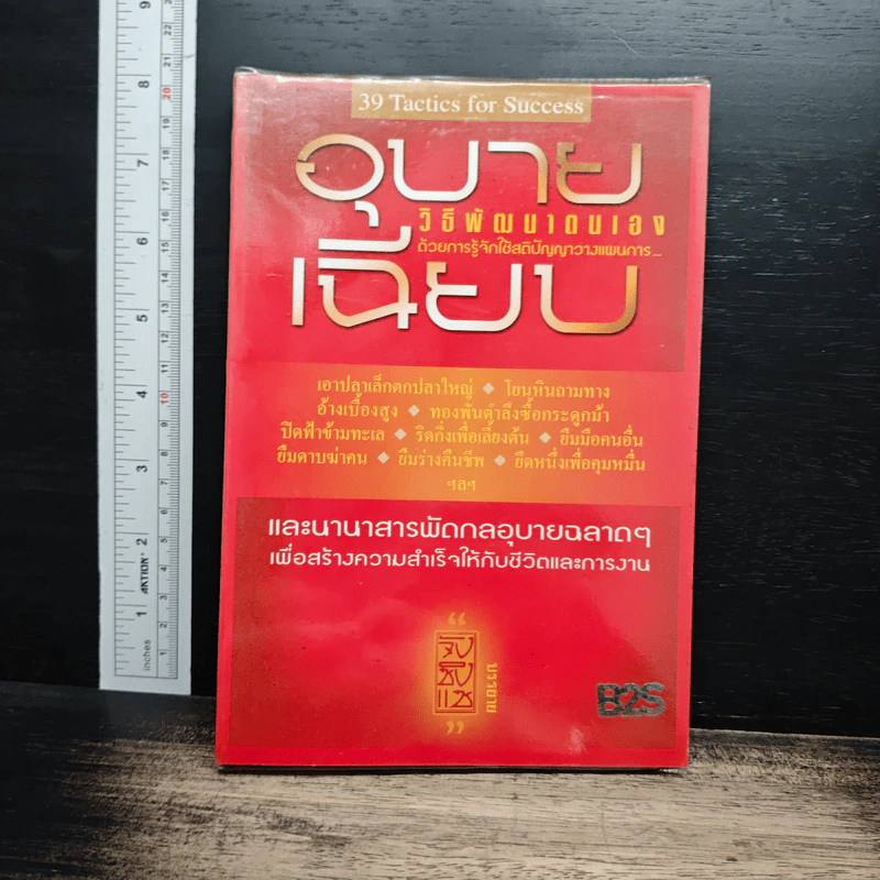 อุบายเฉียบ วิธีพัฒนาตนเอง ด้วยการรู้จักใช้สติปัญญาวางแผนการ - จังซิงแซ รูปที่ 1
