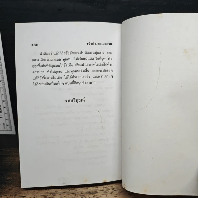 เจ้าบ่าวทะเลทราย - ไอริณ รูปที่ 8