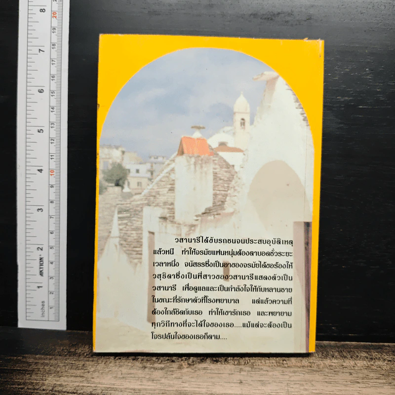 โจรปล้นใจ - วลัย นวาระ รูปที่ 2