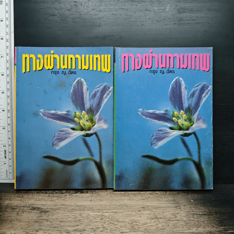 หนังสือ ทางผ่านกามเทพ 2 เล่มจบ - กรุง ญ. ฉัตร รูปที่ 1