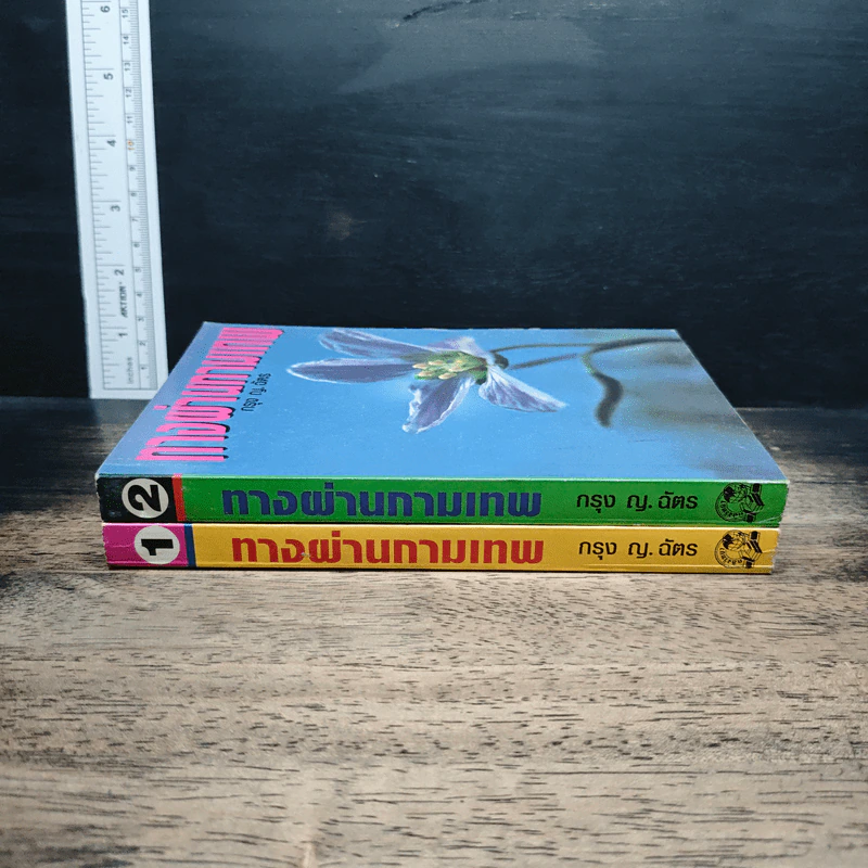 หนังสือ ทางผ่านกามเทพ 2 เล่มจบ - กรุง ญ. ฉัตร รูปที่ 3