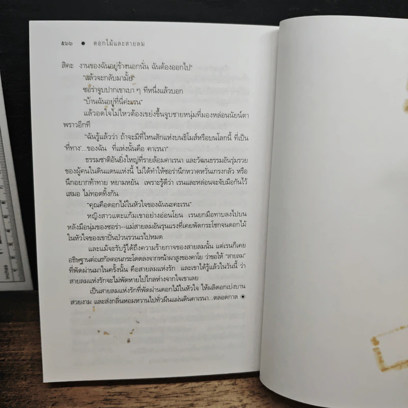 ดอกไม้และสายลม - ดวงตะวัน รูปที่ 8