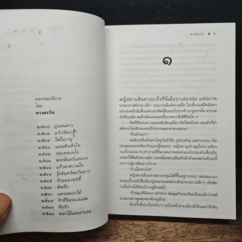 ดอกไม้และสายลม - ดวงตะวัน รูปที่ 7