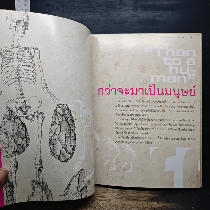 กำเนิดโลกและอารยธรรม - Hannah Ryhme, นับพร วงศ์วาด รูปที่ 10