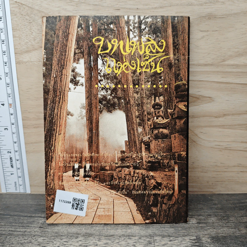บทเพลงแห่งเซ็น - ทวีวัฒน์ ปุณทริกวิวัฒน์ รูปที่ 5