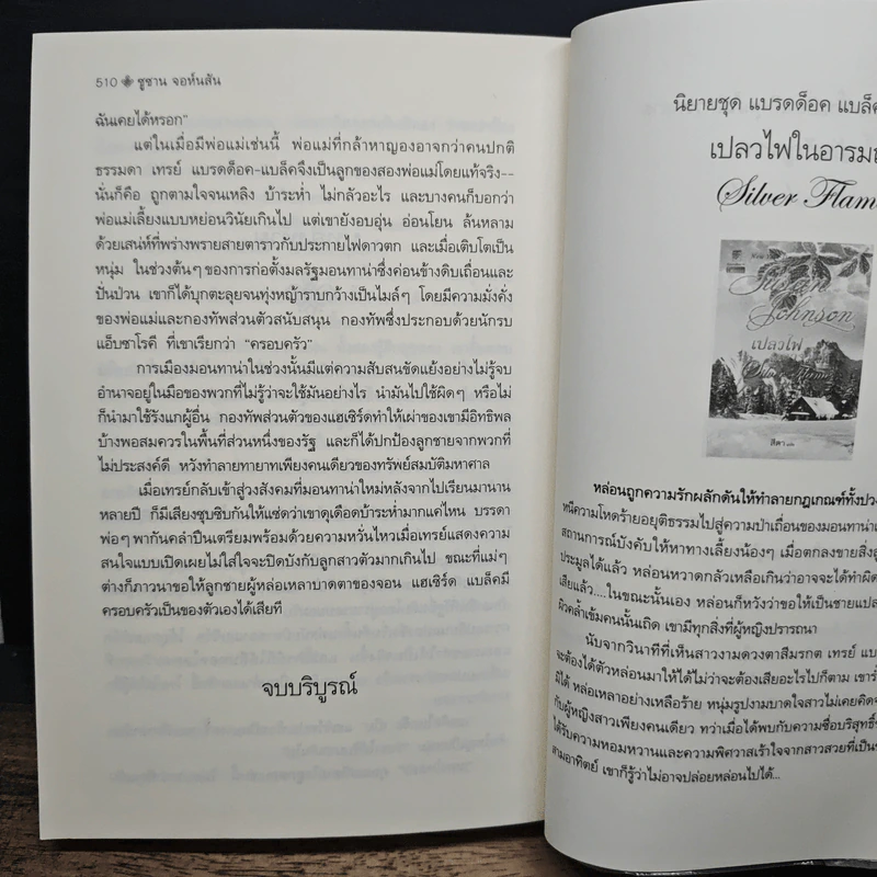 ไฟรักในหัวใจ - Susan Johnson, สีตา รูปที่ 8