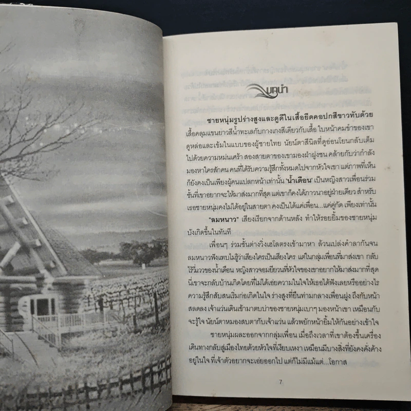 เปลวรักสีรุ้ง - นัฐชา รูปที่ 7