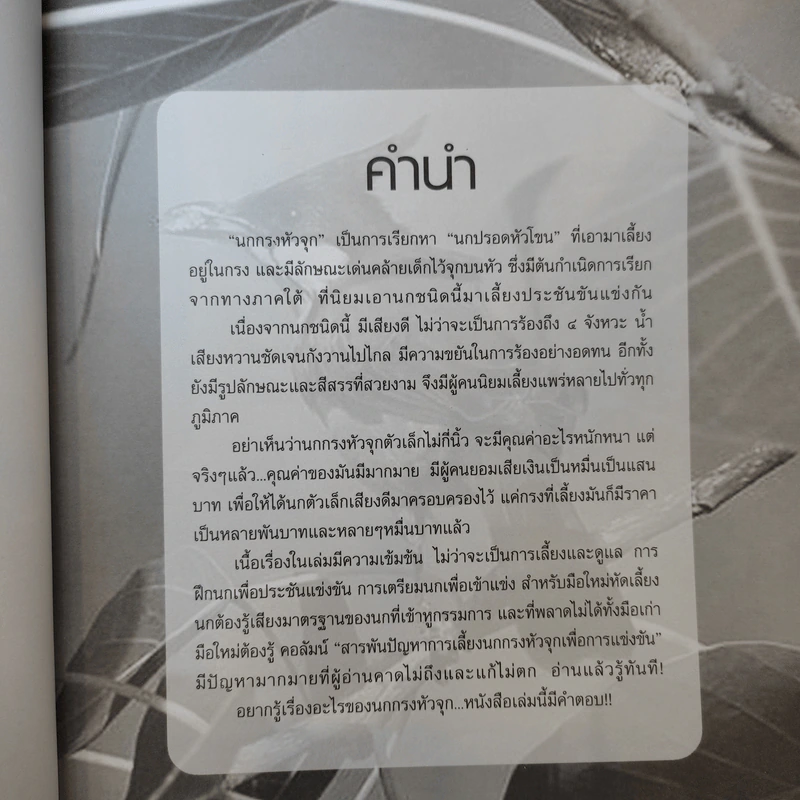 นกกรงหัวจุก - อารยะ รูปที่ 9
