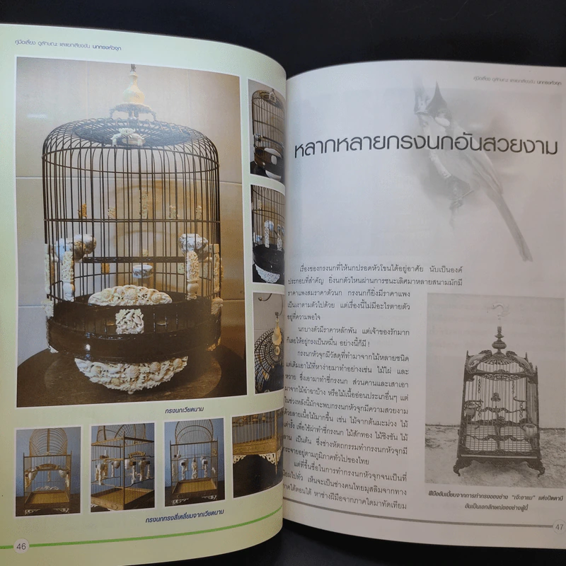 นกกรงหัวจุก - อารยะ รูปที่ 13