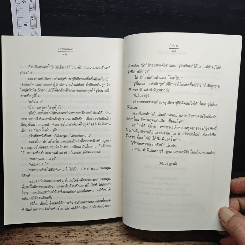 แสงซ่อนเงา รูปที่ 9