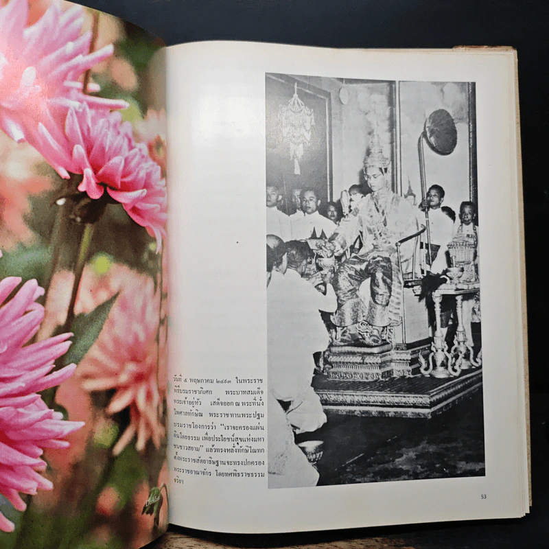 กษัตริย์-เกษตร รูปที่ 11