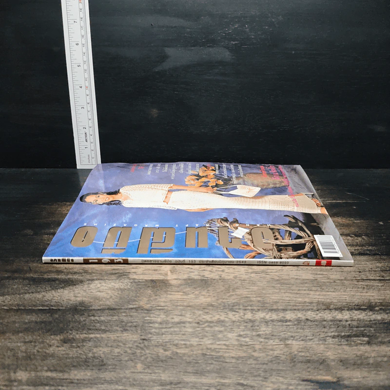 งานฝีมือ ฉบับที่ 193 มิ.ย. 2543 รูปที่ 3