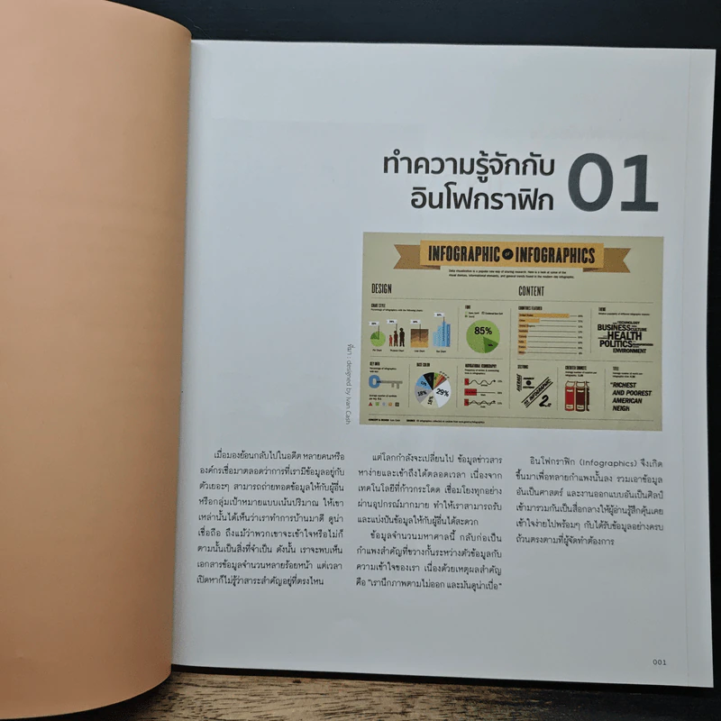 Principles Infographic เปลี่ยนข้อมูลเข้าใจยากให้เป็นภาพที่ทรงพลัง รูปที่ 8