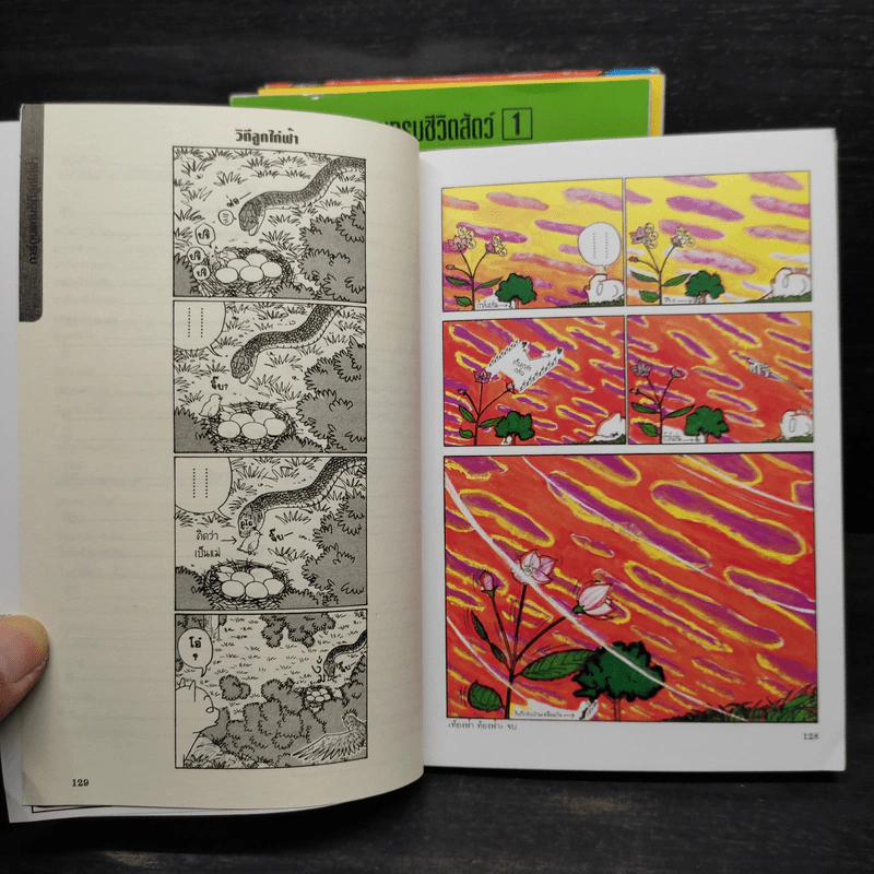 สารานุกรมชีวิตสัตว์ หมีบ้าฮาลั่นป่า เล่ม 1-4 รูปที่ 10