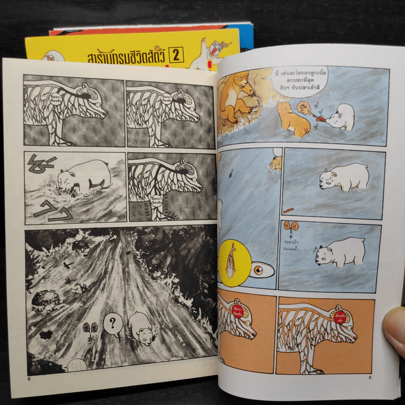 สารานุกรมชีวิตสัตว์ หมีบ้าฮาลั่นป่า เล่ม 1-4 รูปที่ 8