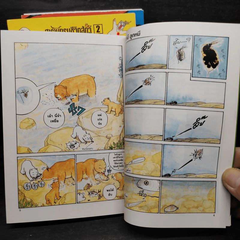 สารานุกรมชีวิตสัตว์ หมีบ้าฮาลั่นป่า เล่ม 1-4 รูปที่ 7