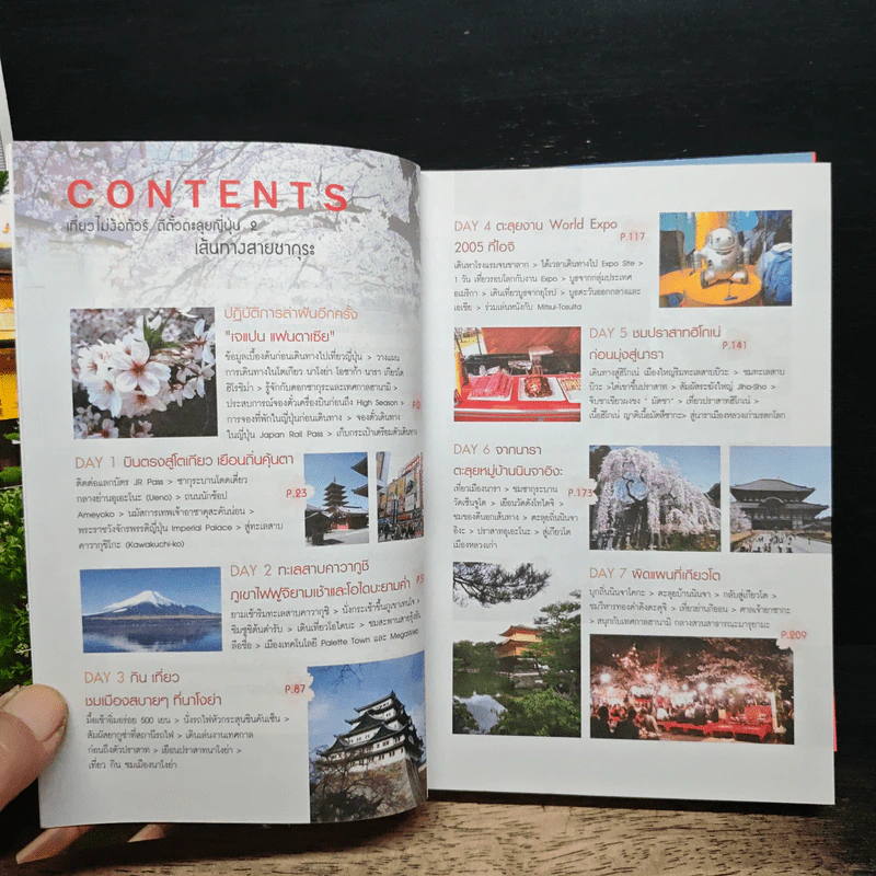 เที่ยวไม่ง้อทัวร์ ตีตั๋วตะลุยญี่ปุ่น 2 รูปที่ 7