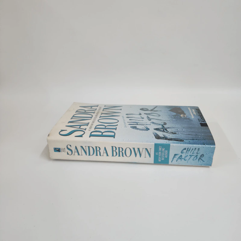 Chill Factor - Sandra Brown รูปที่ 3