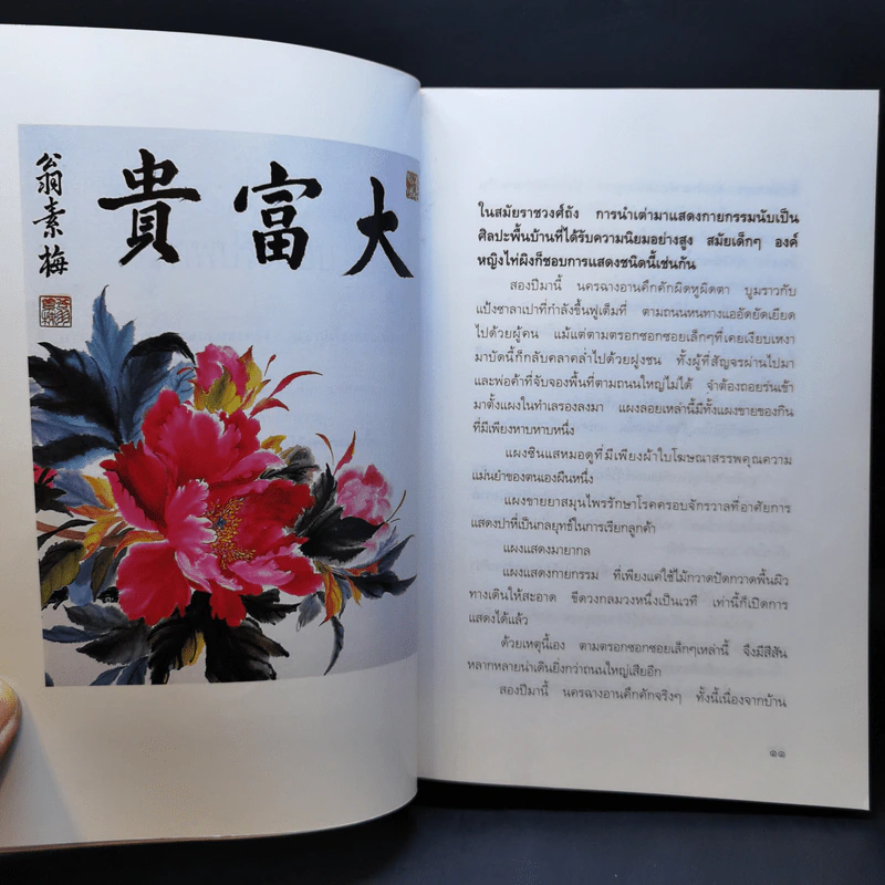 องค์หญิงไท่ผิง - ธานี ปิยสุข รูปที่ 10
