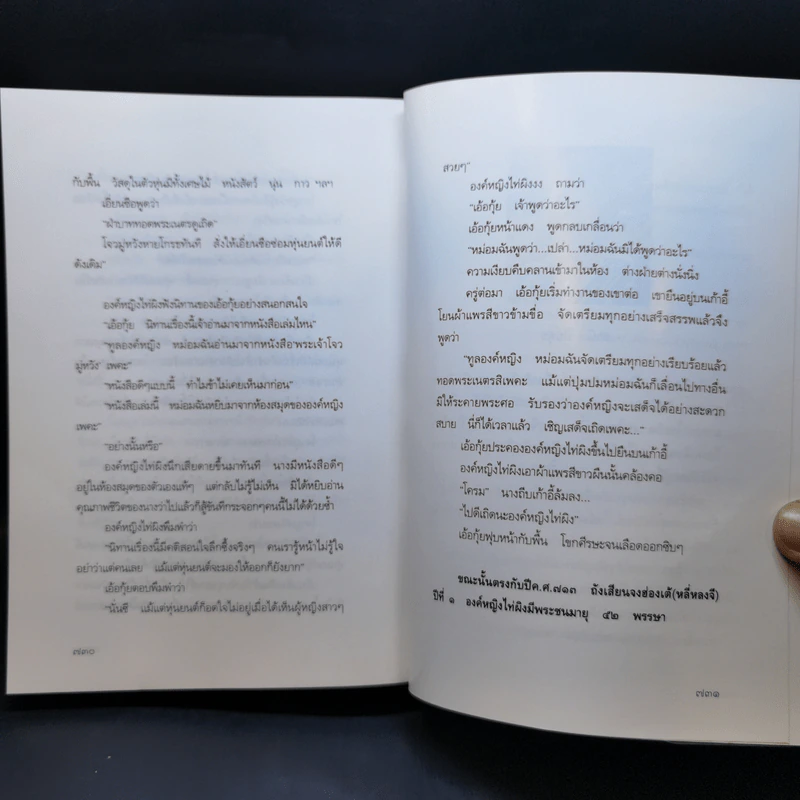 องค์หญิงไท่ผิง - ธานี ปิยสุข รูปที่ 13