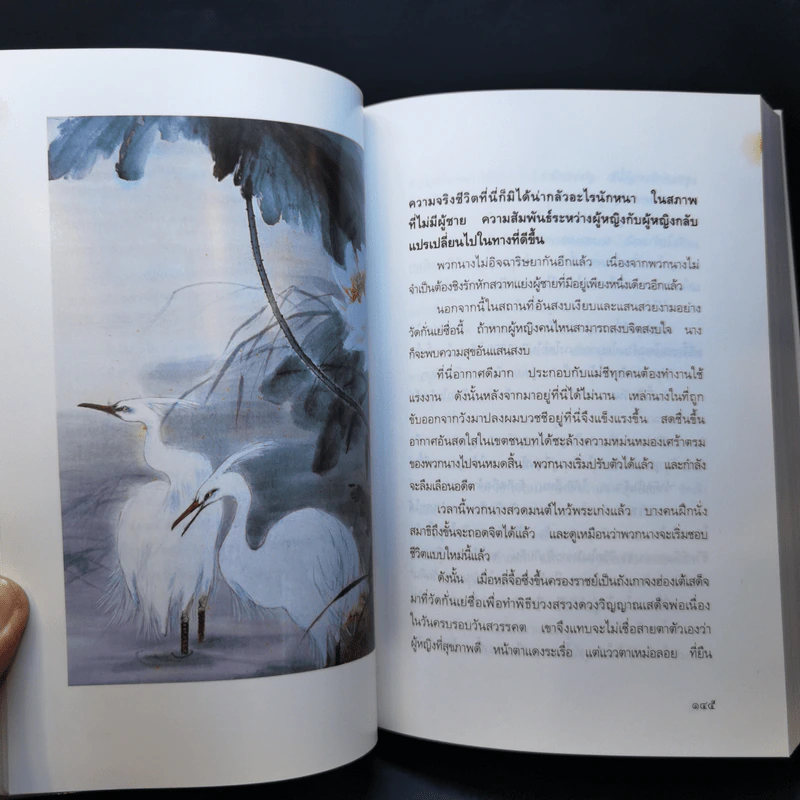องค์หญิงไท่ผิง - ธานี ปิยสุข รูปที่ 12