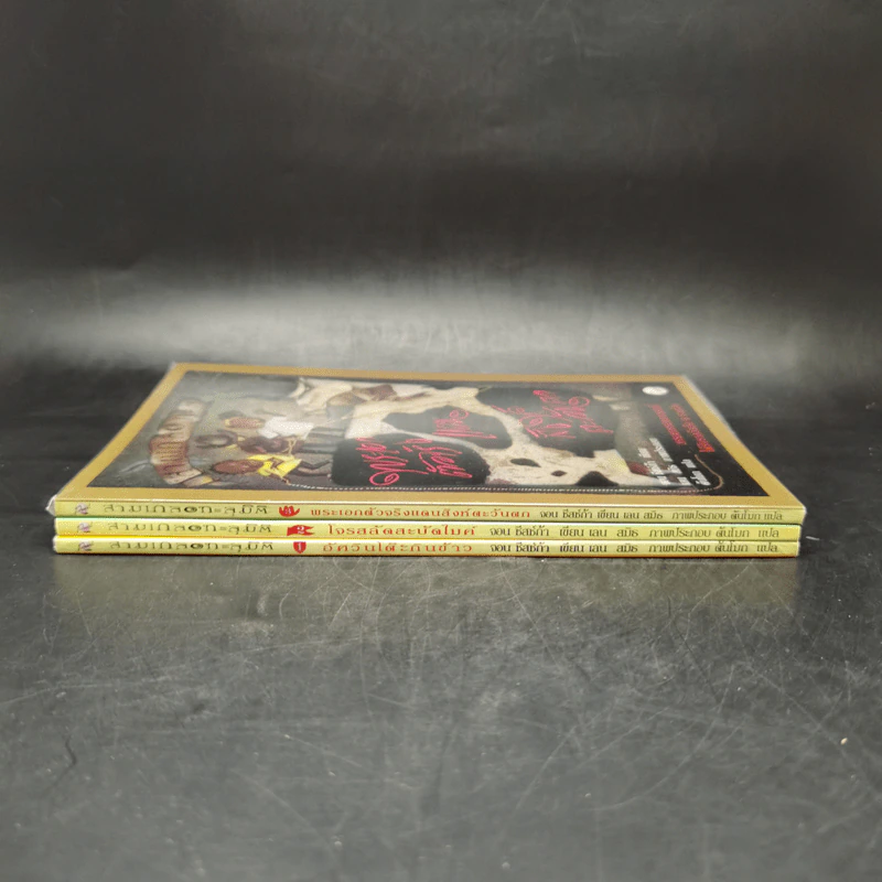 สามเกลอทะลุมิติ เล่ม 1-3 - จอน ชีสช์ก้า รูปที่ 2
