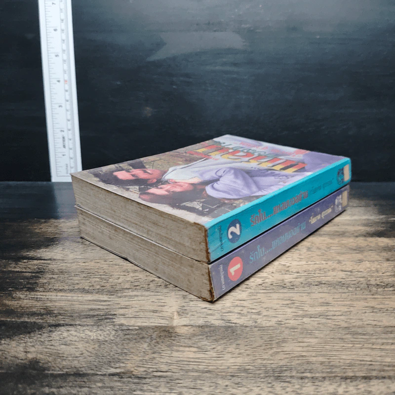 รักในแหลมบอลข่าน เล่ม 1-2 - โสภาค สุวรรณ รูปที่ 5