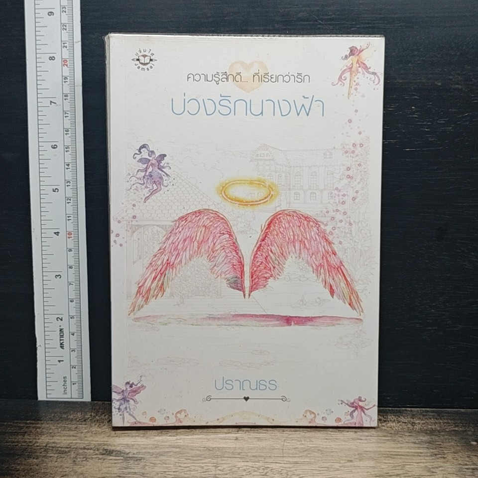 บ่วงรักนางฟ้า รูปที่ 1